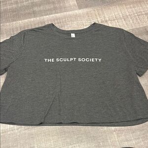 the sculpt society grey crop tee